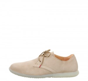 Think HAUKI Niedrige Sneaker Herren Braun | PNZ859601