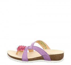 Think JULIA Mules Damen Lila | LBK709286
