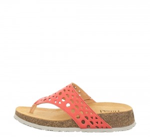Think KOAK Mules Damen Schwarz | IRU325718