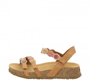 Think KOAK Strap Sandalen Damen Braun | EDY728104