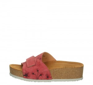Think PAPU Mules Damen Schwarz | CQK895360